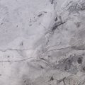 Image of Bianco Eclipsia