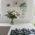 Image of Bluetta Carrara