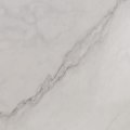 Image of Statuario Venato