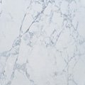 Image of Snowy Carrara