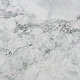 Image for Calacatta Super White