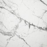 Image for Invisible White 