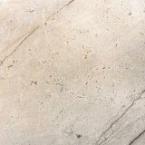 Image for Ivory Spice