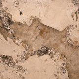 Image for Pattagonia