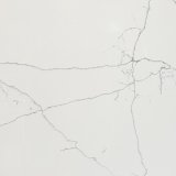 Image for White Macaubas