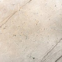 Ivory Spice